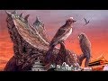 《地理中国》 龙鸟谜题（上）鸟类的祖先是谁？它们是如何出现在这个地球上的？20181214 | CCTV科教