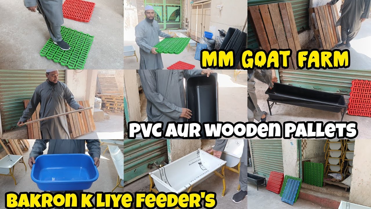 MM Goat Farm | PVC Pallets | Good Quality Feeders | Wooden Pallets in Hyderabad Telangana India 