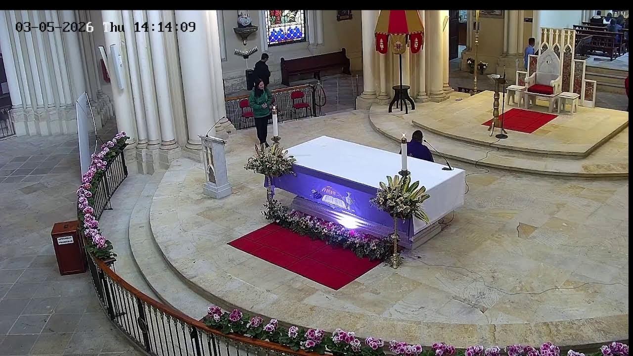 Transmisión Eucaristía Basílica de Lourdes   2026