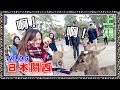 【魚乾】關西八俠★日本VLOG [上] - 摸貓咪、被鹿追、採草莓！ (With. 菜喳、滴妹、阿晋、羅伊、胖茲、浮千、冏哥)