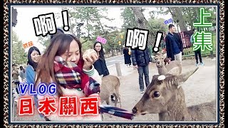 【Annie】Kansai★Vlog of Japan  touching cats, chased by deer, plucking strawberries (with YouTubers)