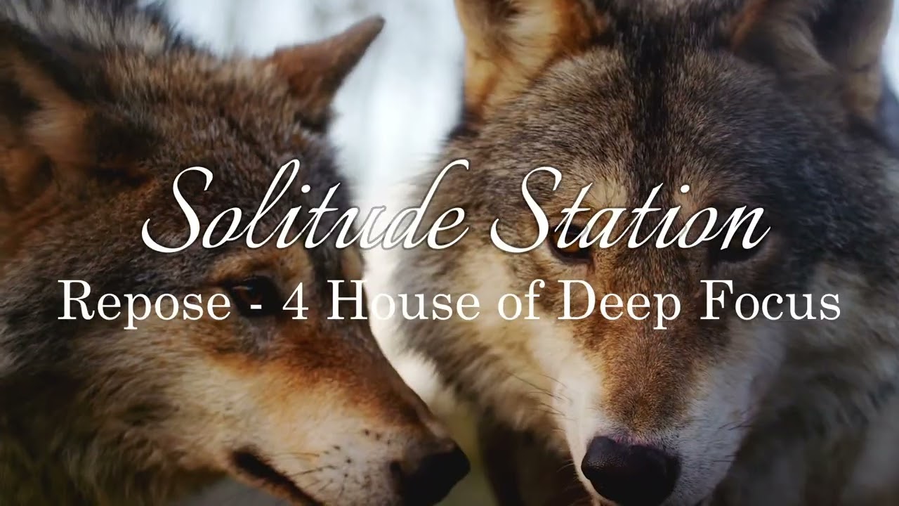 Watch Repose – 4 Hours | Deep Focus Music for Work & Study on YouTube Watch Repose – 4 Hours | Deep Focus Music for Work & Study on YouTube