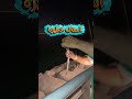 بدون سنارة صيد سمك الحاقول كورنيش الدمام
