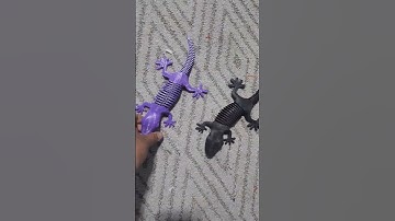 Flexy Gekko #3dprinting #tpu #carbonfiber #petg #ankermake #creality #bambulab