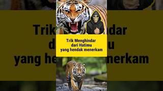 Trik Agar selamat dari Serangan Harimau #shortvideo #feedshorts #harimau #harimausumatra #faktaunik