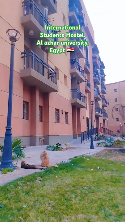 Download lagu International Students hostel, al azhar university, Egypt. #ytshorts #shortvideo #trending