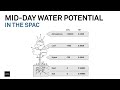 True science inside part 1  irrigation of controlled environment crops substrate and water