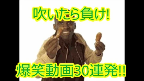 腹筋崩壊不可避 海外のガチで面白い動画集