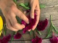 Video Image