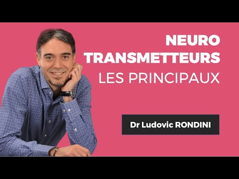 Tout savoir sur les principaux neurotransmetteurs ! Dr. Ludovic RONDINI