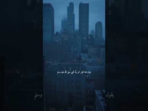 الخصام الذي حصل بين ابي بكر وعمر بن الخطاب رضي الله عنهما