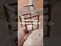 Casinha da roça de taipa para trabalho escolar