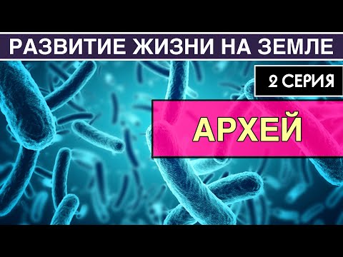 АРХЕЙ. Развитие жизни на Земле. 2 серия | Как появилась жизнь на Земле [NEW]