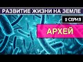 АРХЕЙ. Развитие жизни на Земле. 2 серия | Как появилась жизнь на Земле [NEW]