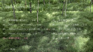 Strange Situation    327