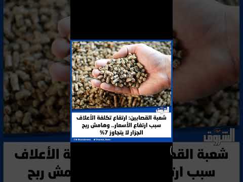 شعبة القصابين ارتفاع تكلفة الأعلاف سبب ارتفاع الأسعار وهامش ربح الجزار لا يتجاوز 7