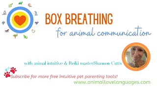 Box Breathing for Clearer Animal Communication