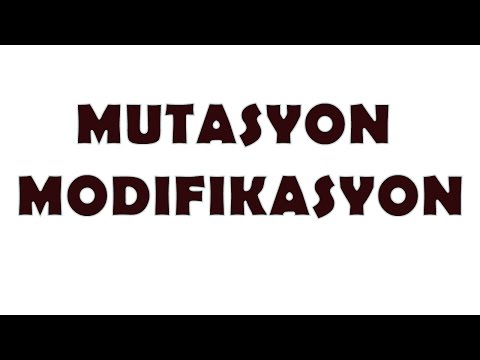 7 Dakikada Mutasyon ve Modifikasyon