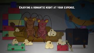 Combat Baits Roach Popcorn