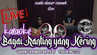 Bagai Ranting Yang Kering Karaoke Nada Cewek