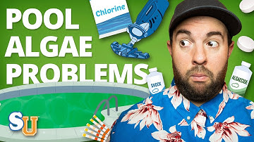 How to Stop ALGAE in Your POOL From Returning