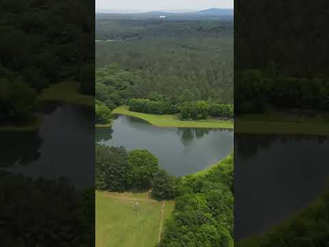 112 Pine Hill Dr, Somerville, AL home video tour
