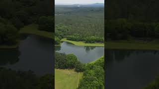 112 Pine Hill Dr video tour