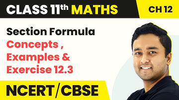 Section Formula - Concepts , Examples & Exercise 12.3 | Class 11 Maths Chapter 12