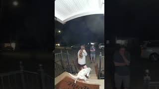 Ouch Dog Hits Head On Door Collab