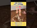 【復習編 その7】帰ってきた「俺、猫。」‼ 爆笑アテレコ #おもしろ動画 #猫#犬#動物