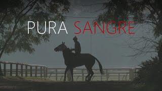 PURA SANGRE (2018) CAPITULO 5