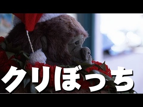 クリぼっちさん集まれー！セゴリータ三世のクリスマス生放送！