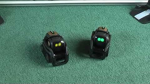 Dancing Vector Robots