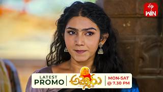 Ammoru Latest Promo | Episode No 135 | 22nd July 2026 | ETV Telugu