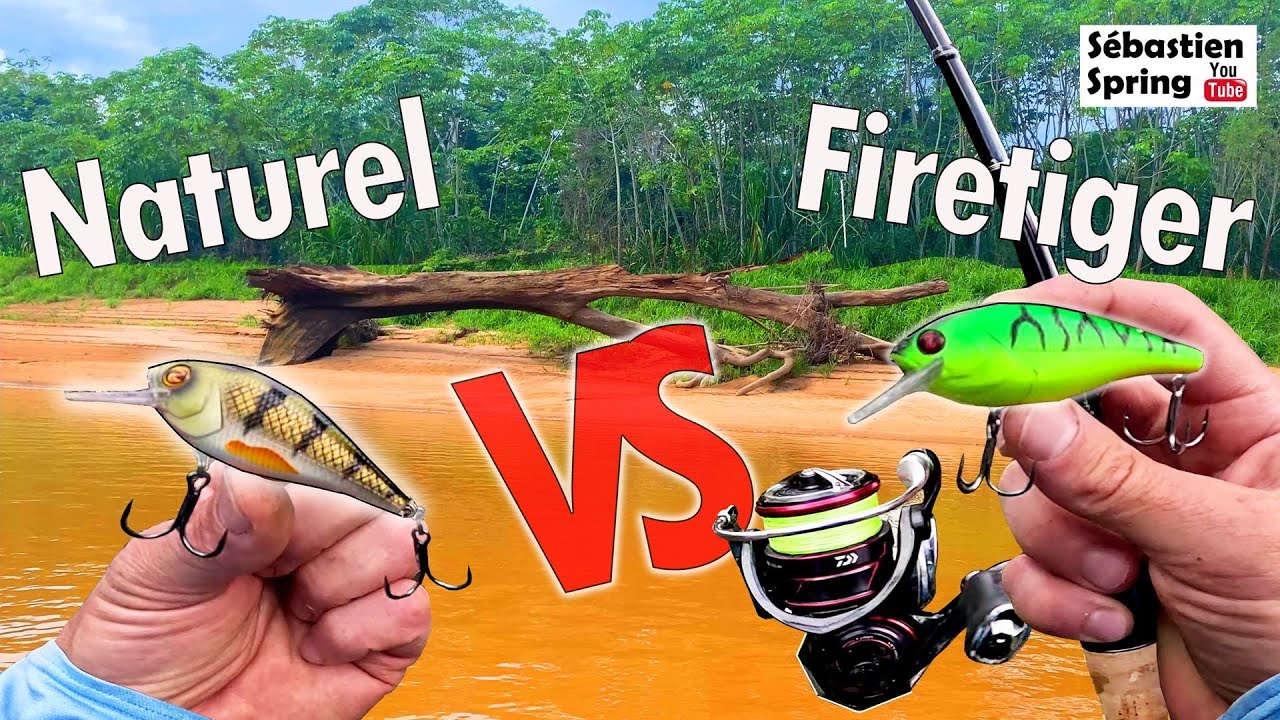 772851_2