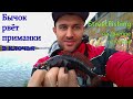 Бычок рвет приманки в клочья. Streetfishing на Набережной Днепра. Рыбалка на спиннинг в Киеве.