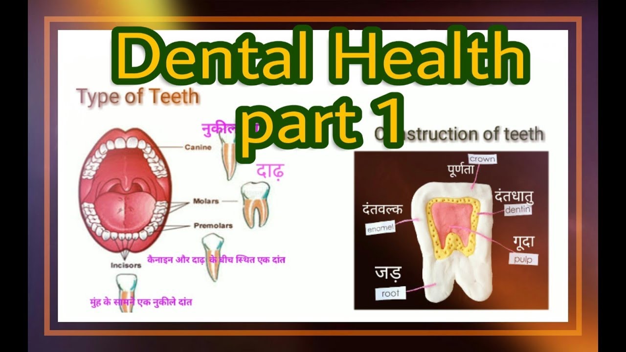 Std_9_English Unit 2 Dental Health Full Explained in Gujarati. PART =1