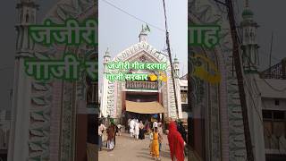 gaji Sarkar janjiri gate 👈 #qawali #furkan