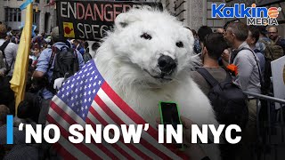 Snow go : New York City's winter is missing the white stuff
