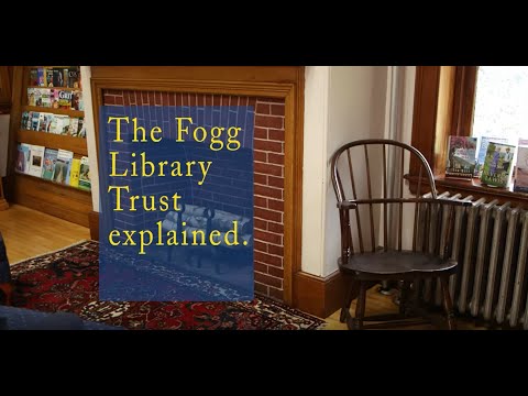 Fogg Shorts - Fogg Trust