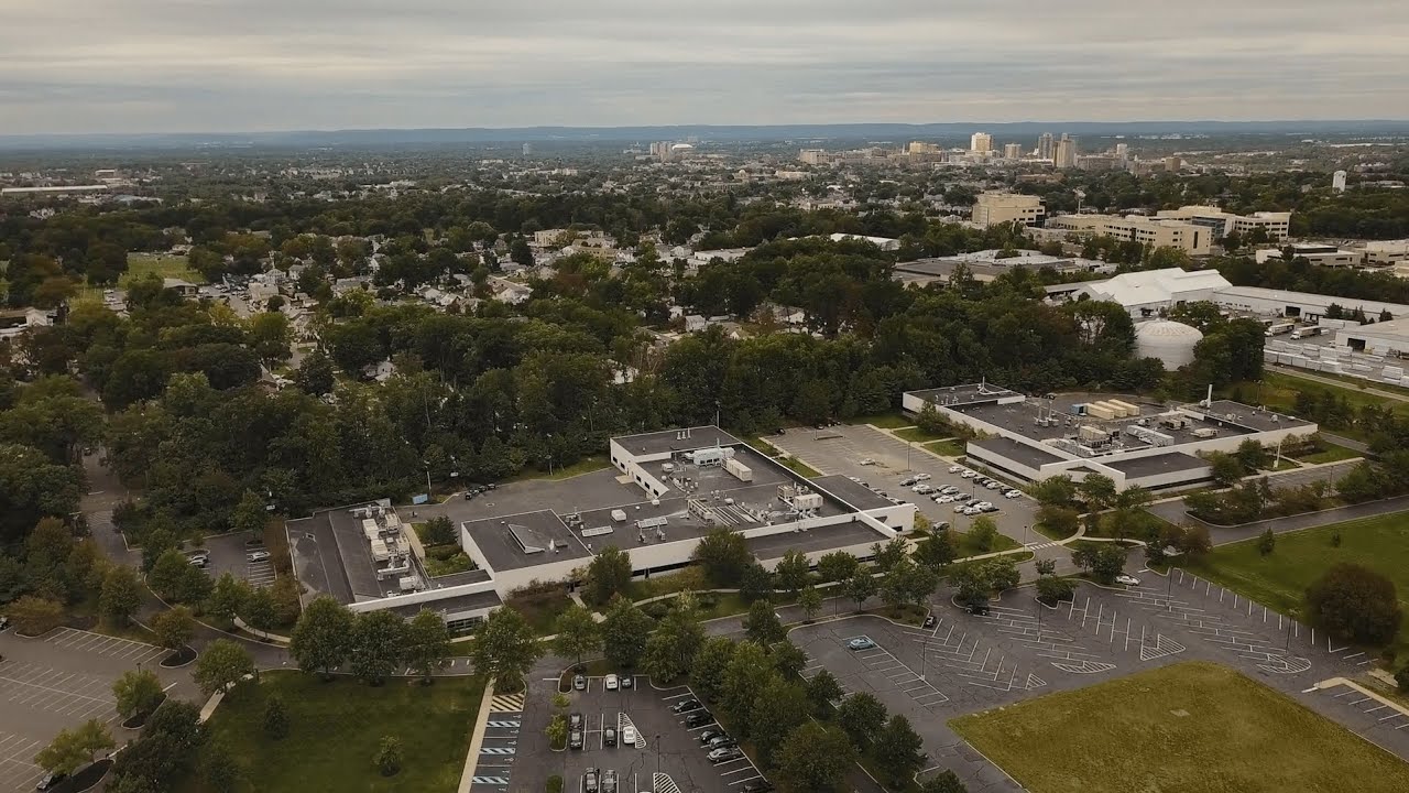 About Genomic Prediction