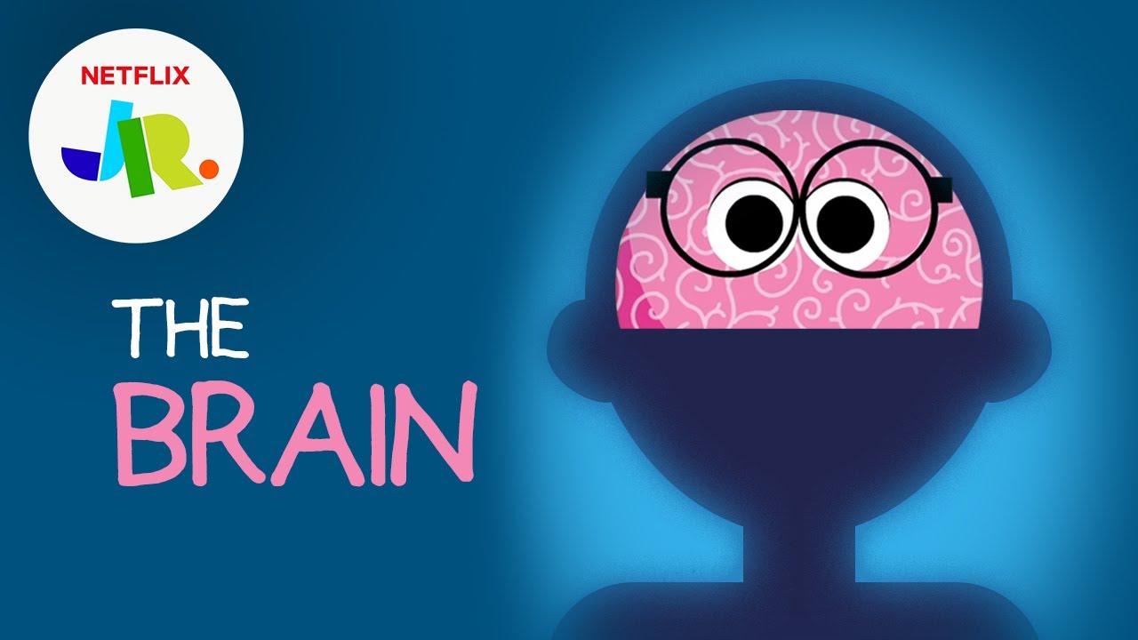 Brain 101. Netflix Jr STORYBOTS. STORYBOTS bryanck. Netflix for Kids.