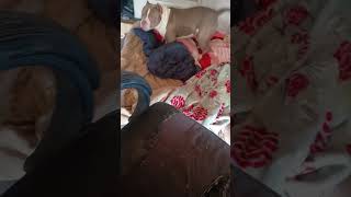 No Such Thing As 2 Much Fun Wit George