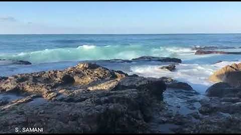 الشيخ عبدالولي بن محمد الأركاني ، ولد بمكة 1983 , خريج دار الحديث بمكة ، آيات من سورة الروم .