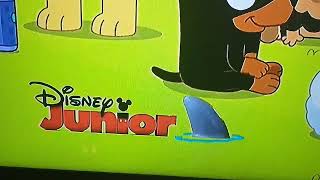 Sharkfest Screenbug Disney Junior