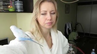 Тоша, Вика и ангелочек Ника. У меня умер попугай. Подписчикам Тоша, Вика и ангелочек Ника. У меня умер попугай. Подписчикам