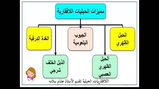 اللافقاريات الحبلية