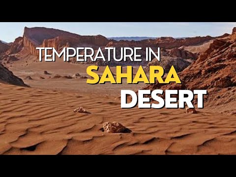 Temperature in sahara desertSahara desert temperaturefarhan qader