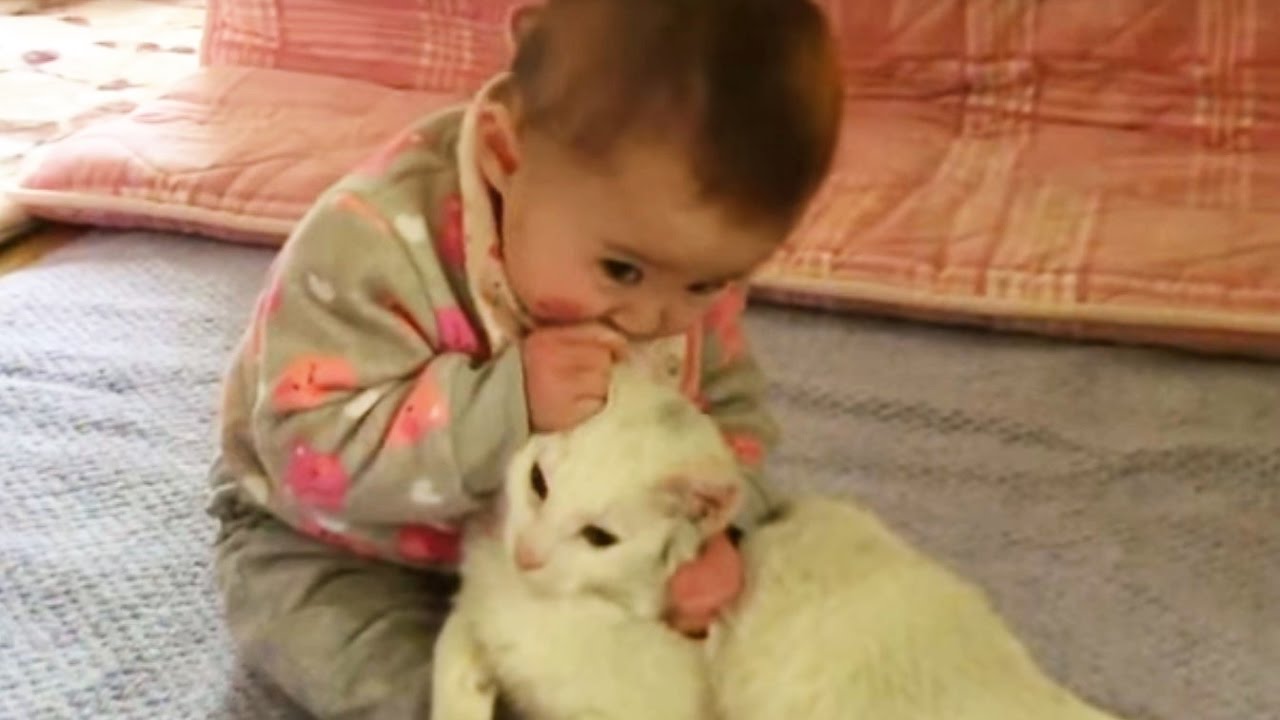 赤ちゃんに優しすぎる猫を発見 まるでお兄ちゃんみたいな動画 ペットメディアlotty ロッティ