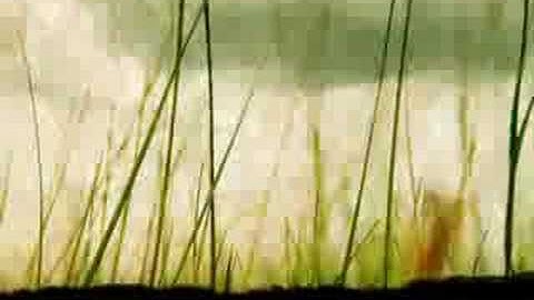 Petar Dundov presents "Escapements"